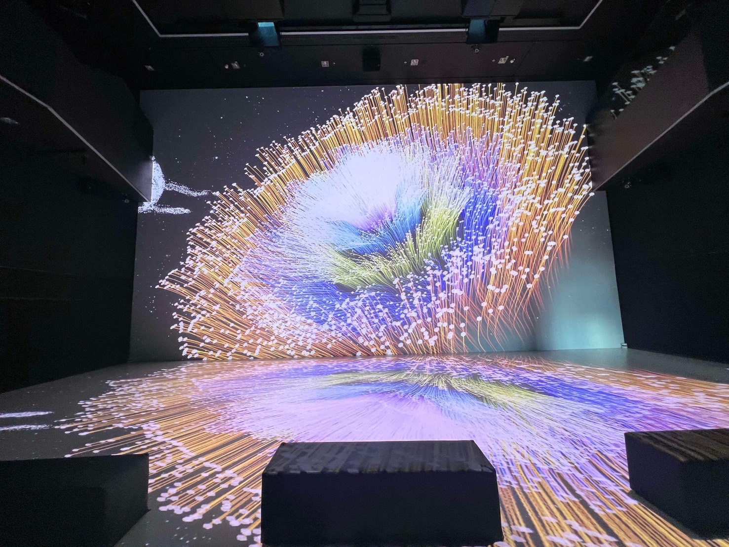2024奥地利电子艺术节参展
