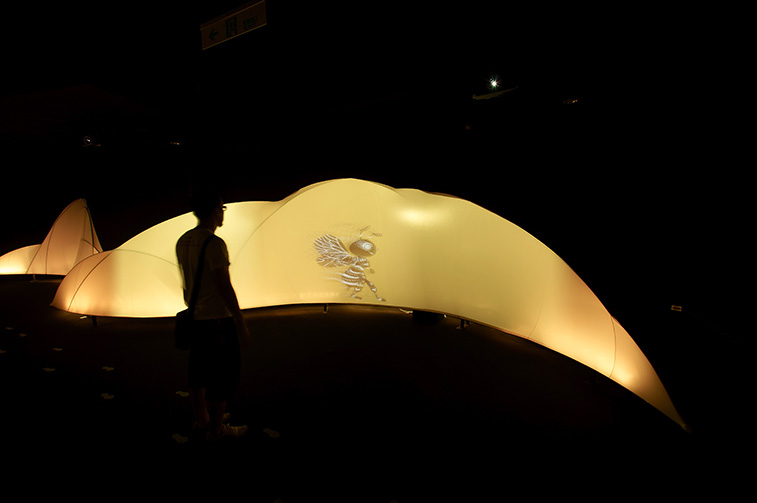 New media art interactive installation: flora exposition