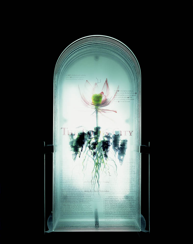 layered digital sculpture