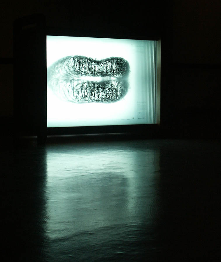 layered digital mechanical mouth sculpture