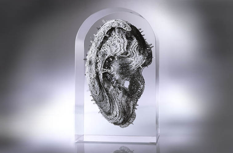 Lucite embedded stainless steel layered mechanical ear sculpture