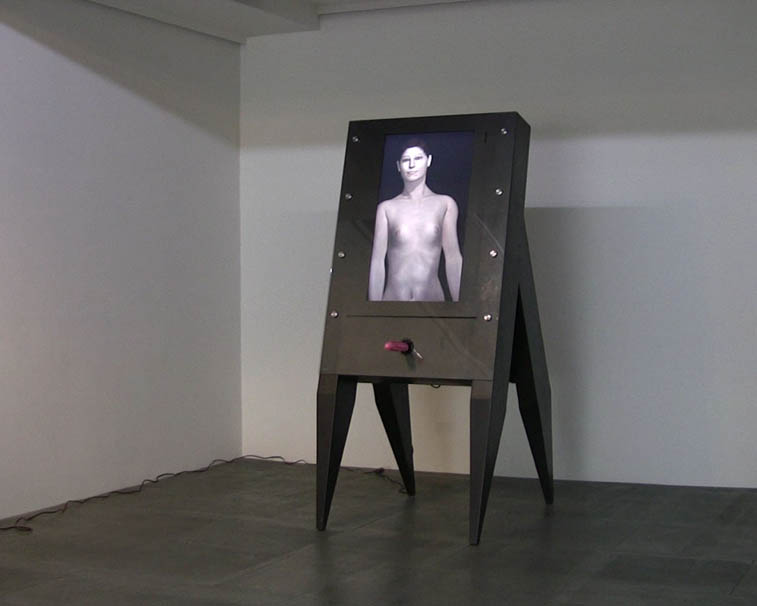 Interactive video new media art installation