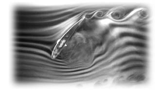 Digital Fine Art Print